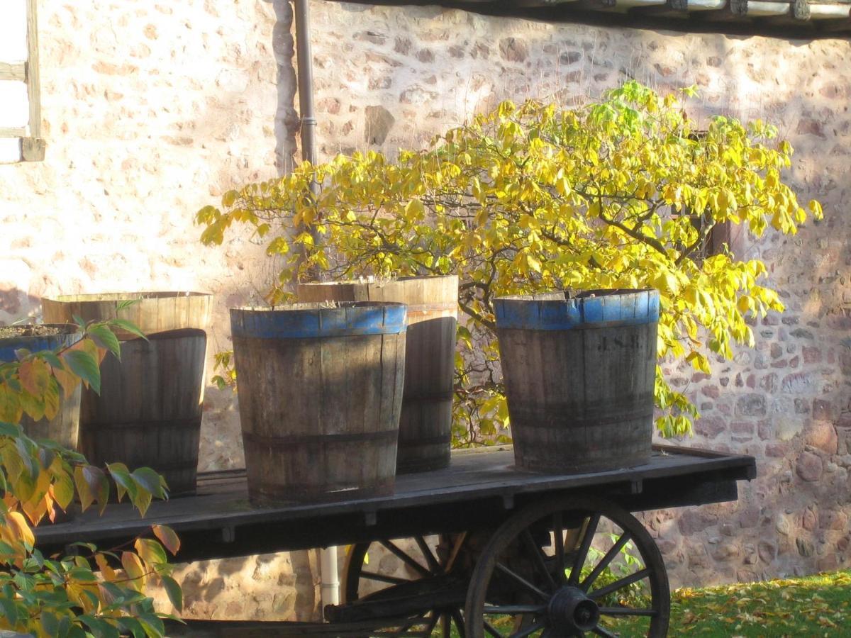 Ferienwohnung Les Hortensias Sainte-Marie-aux-Mines Exterior foto