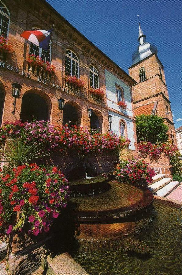 Ferienwohnung Les Hortensias Sainte-Marie-aux-Mines Exterior foto